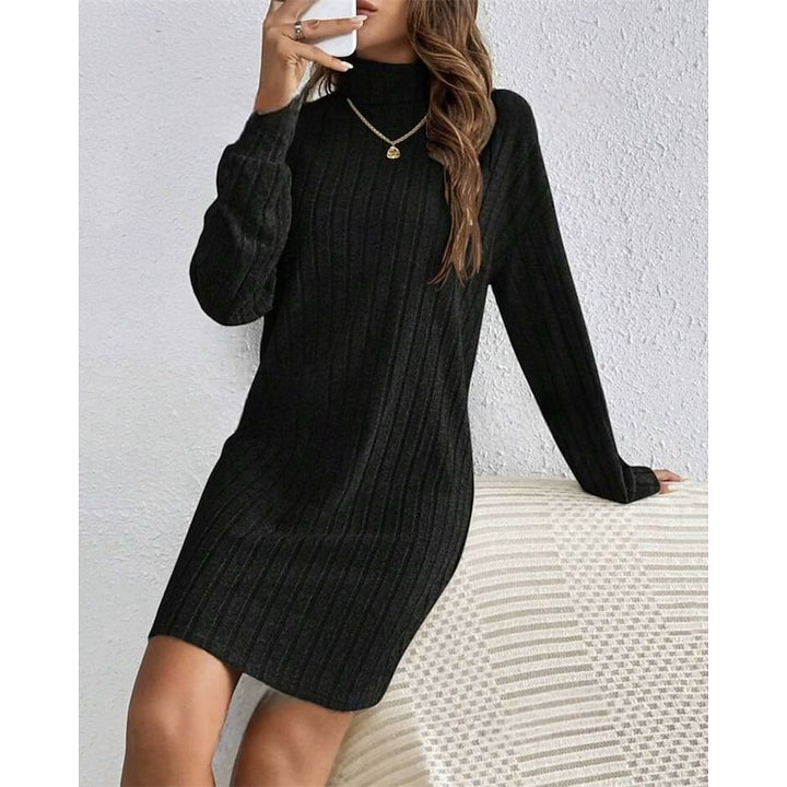 Cornelia | Ribbed Roll-Neck Dress