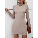 Aubrey | Cozy Turtleneck Dress