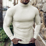 Lucas | Refined Ribbed Turtleneck