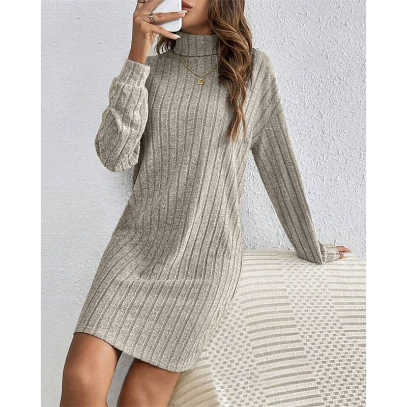 Cornelia | Ribbed Roll-Neck Dress