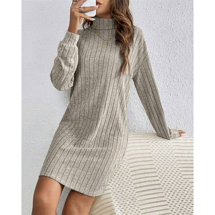 Cornelia | Ribbed Roll-Neck Dress
